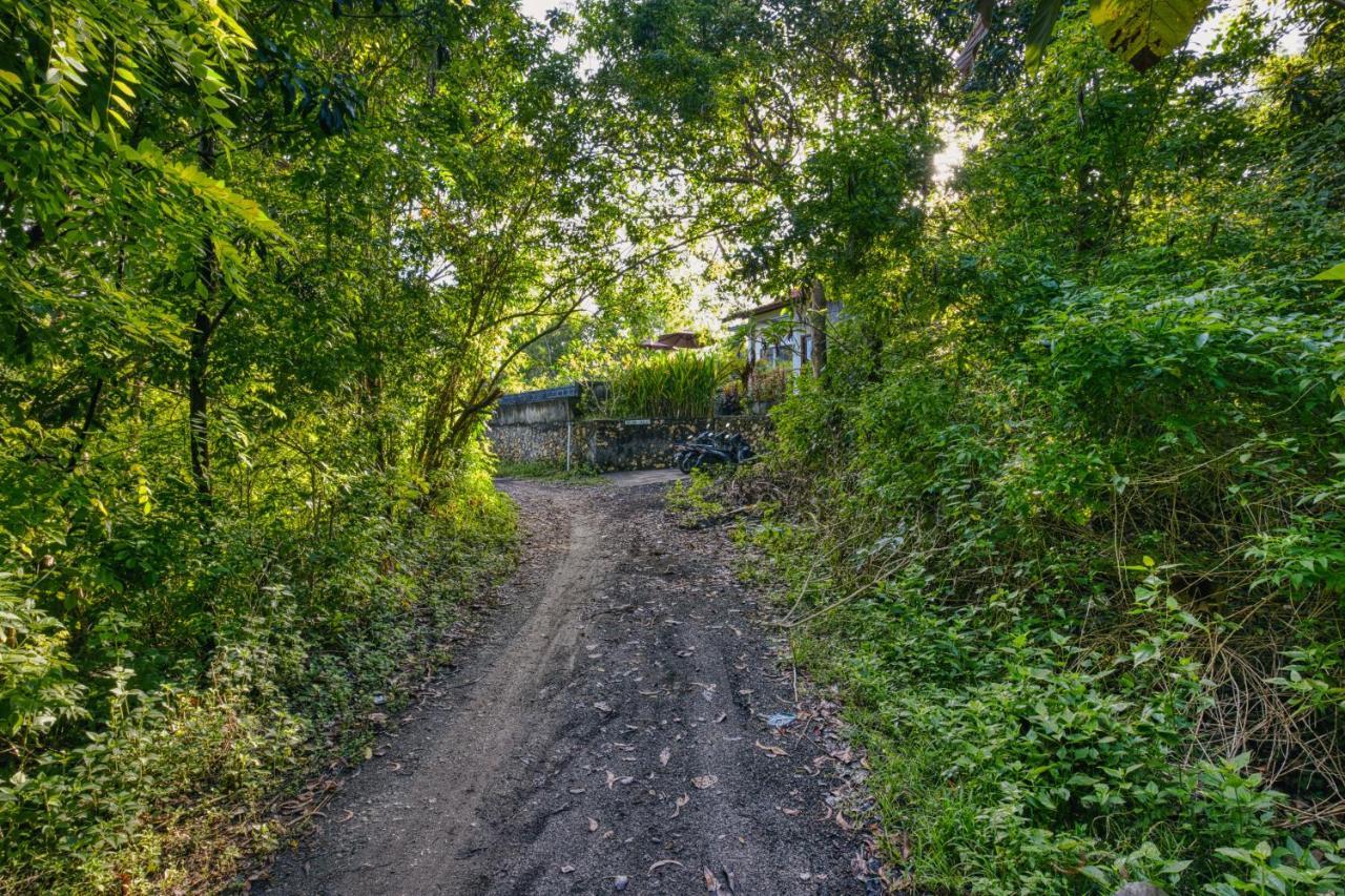 Le Green Village Toyapakeh المظهر الخارجي الصورة